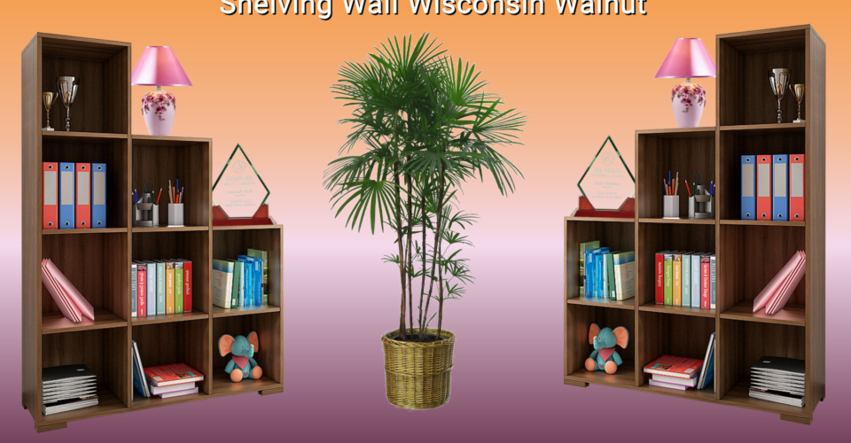 Shelving Wall Wisconsin Walnut